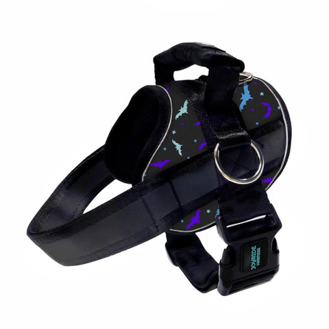Bat Season Limited Edition Joyride Premium Advanced Dog Harness 2.0