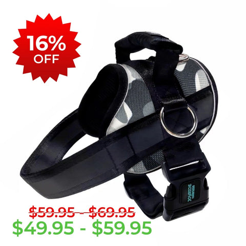 Black and White Camo B Grade Joyride Premium Advanced Dog Harness 2.0