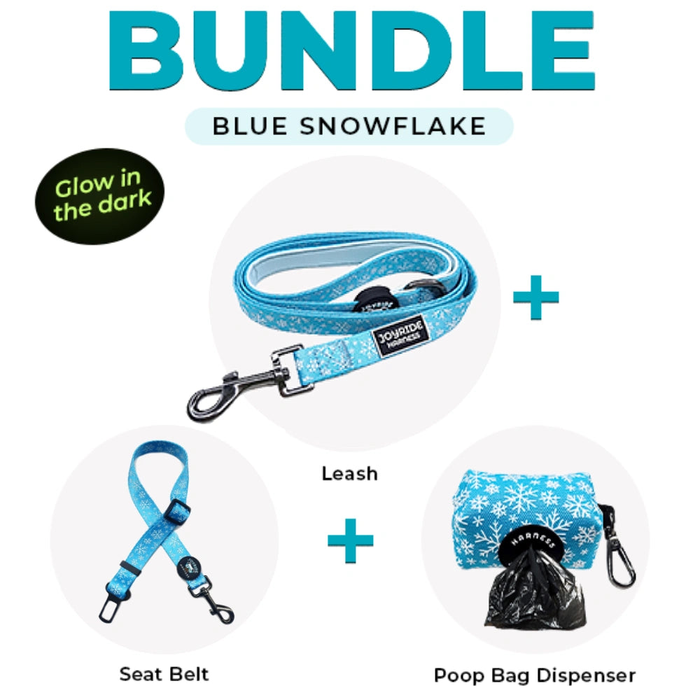 Blue Snowflake Matching Dog Leash | Winter Clearance Accessories Bundle