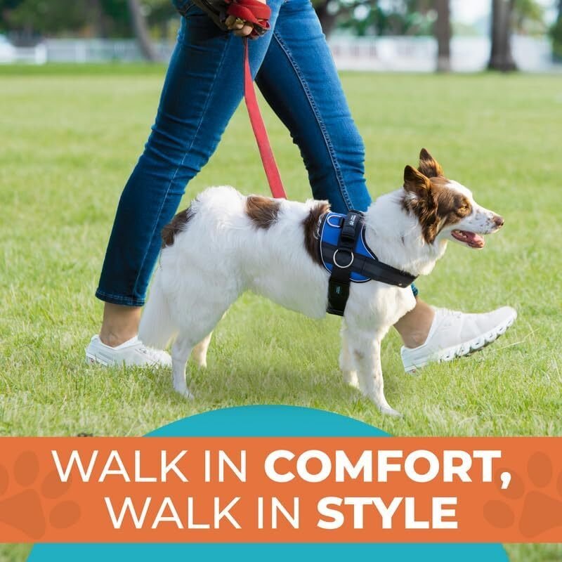 Comfort-style dog harness with handle