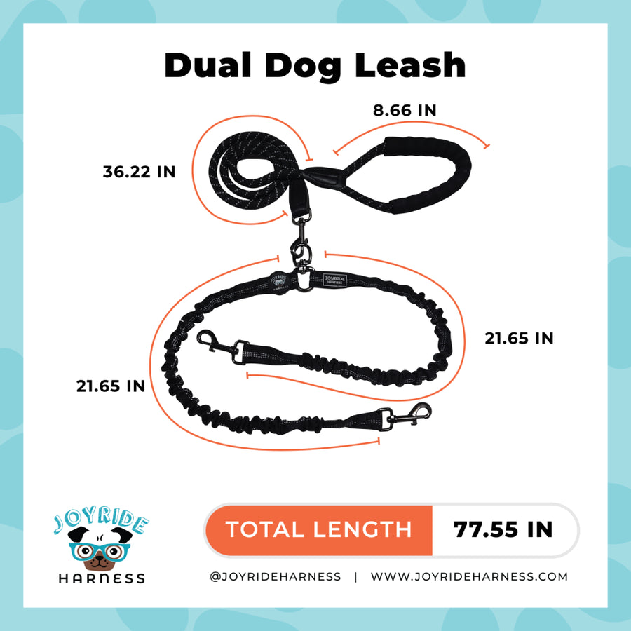 Dual Double Dog Leash