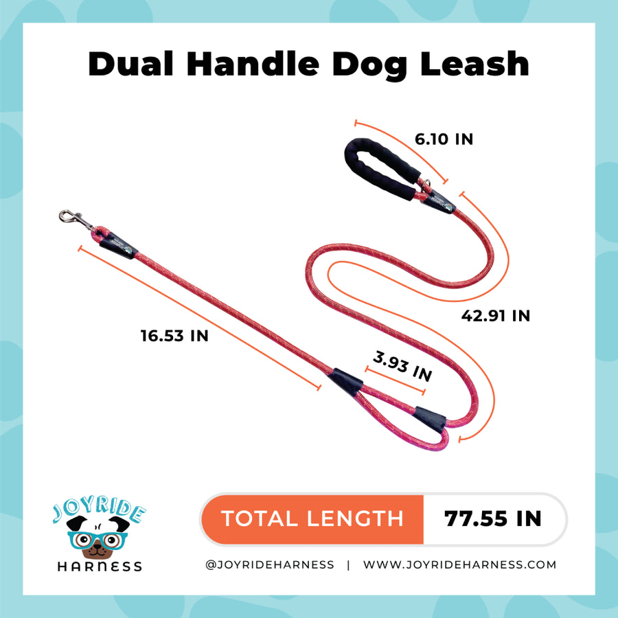 Dual Handle Rope Dog Leash