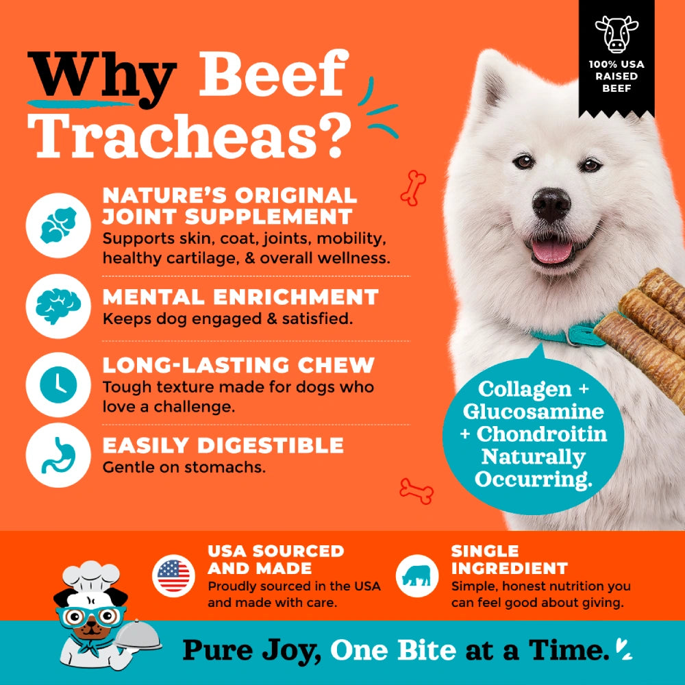 Joyride's Kitchen USA Beef Trachea Dehydrated Dog Treats
