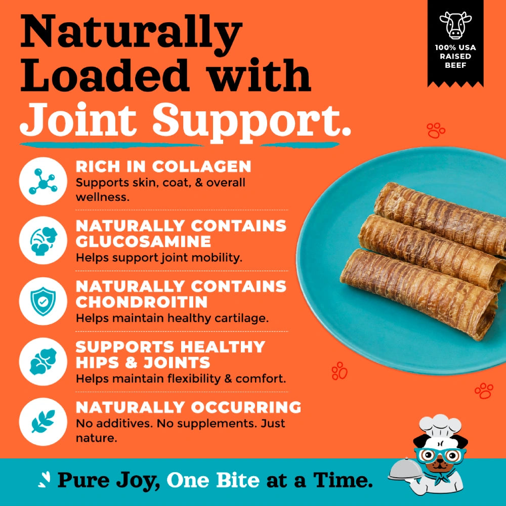 Joyride's Kitchen USA Beef Trachea Dehydrated Dog Treats