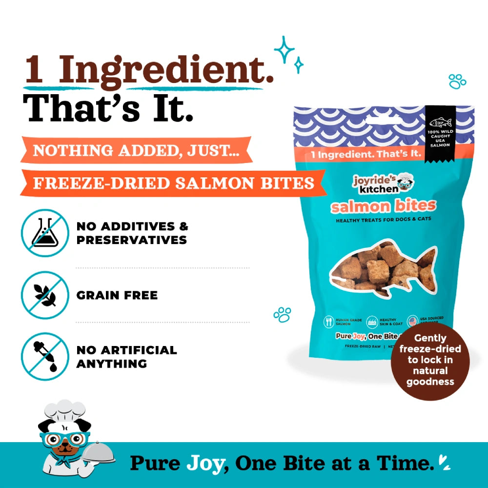 Joyride's Kitchen Premium Salmon Bites Freeze-Dried Raw Dog Treats