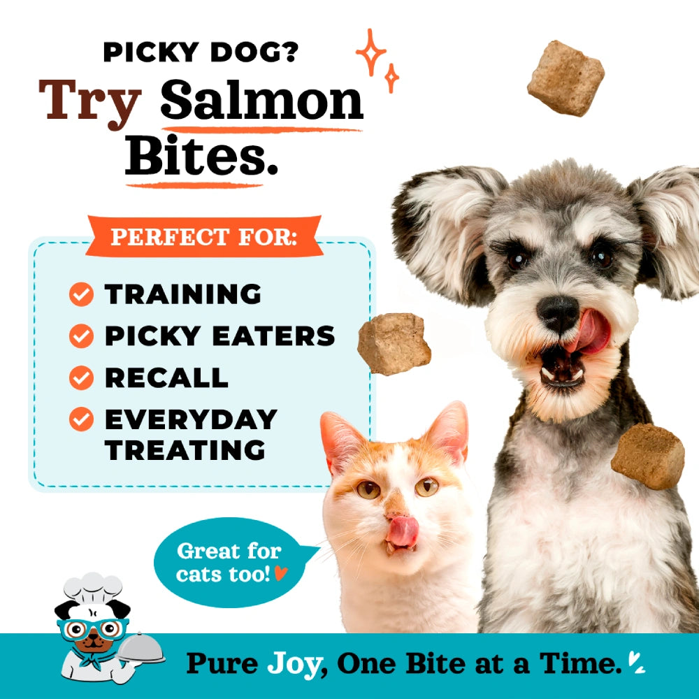 Joyride's Kitchen Premium Salmon Bites Freeze-Dried Raw Dog Treats