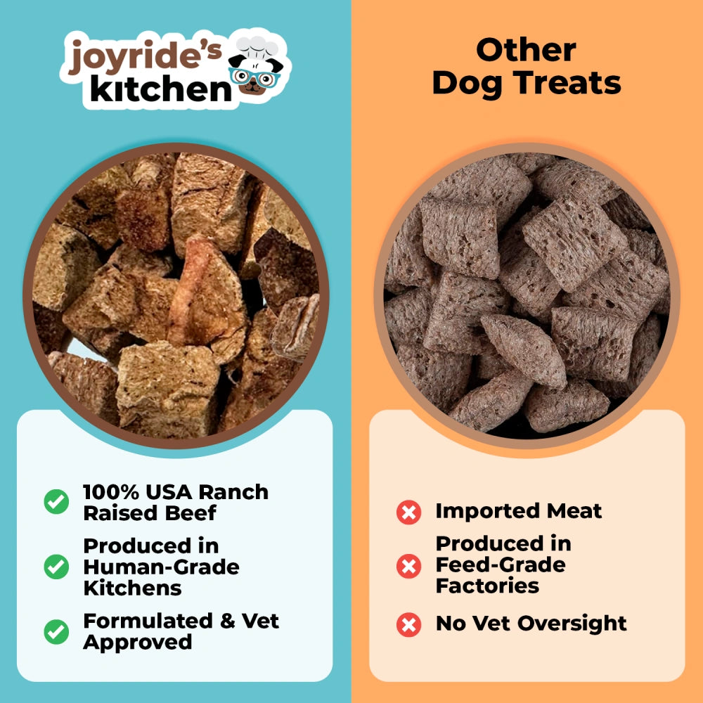 Joyride's Kitchen Beef Liver Freeze-Dried Raw Dog Treats