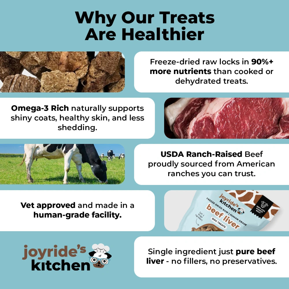 Joyride's Kitchen Beef Liver Freeze-Dried Raw Dog Treats