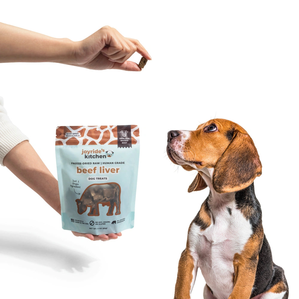 Joyride's Kitchen Premium Beef Liver Freeze-Dried Raw Dog Treats