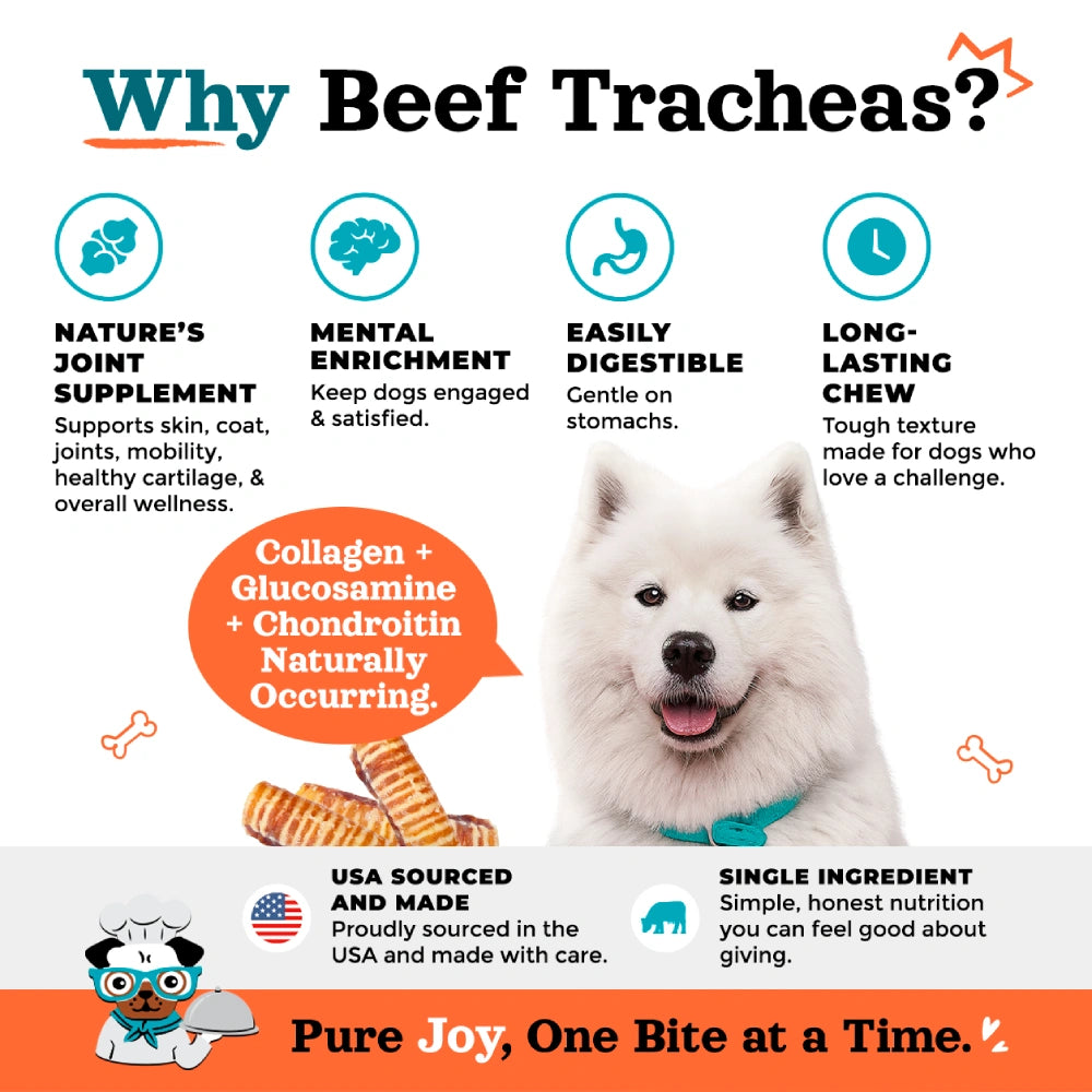 Joyride's Kitchen USA Beef Trachea Dehydrated Dog Treats