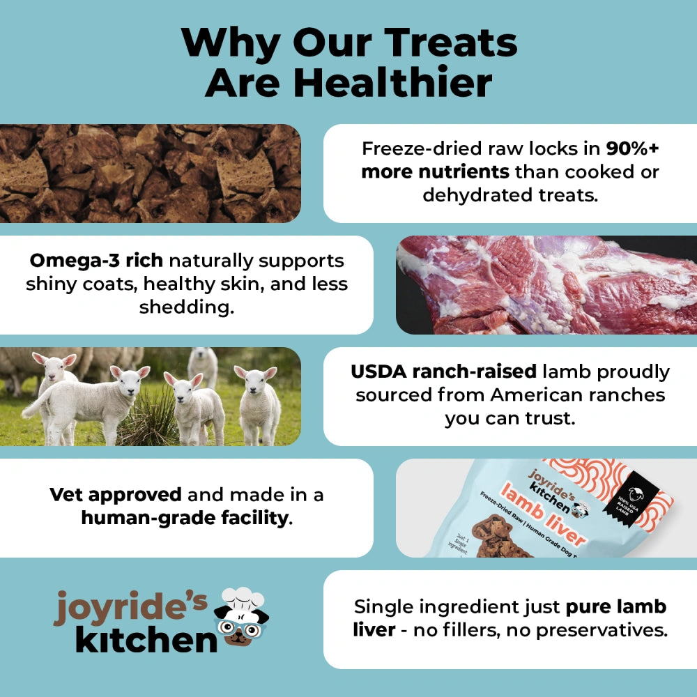 Joyride's Kitchen Premium Lamb Liver Freeze-Dried Raw Dog Treats