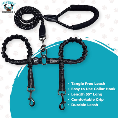 Double hook dog leash best sale