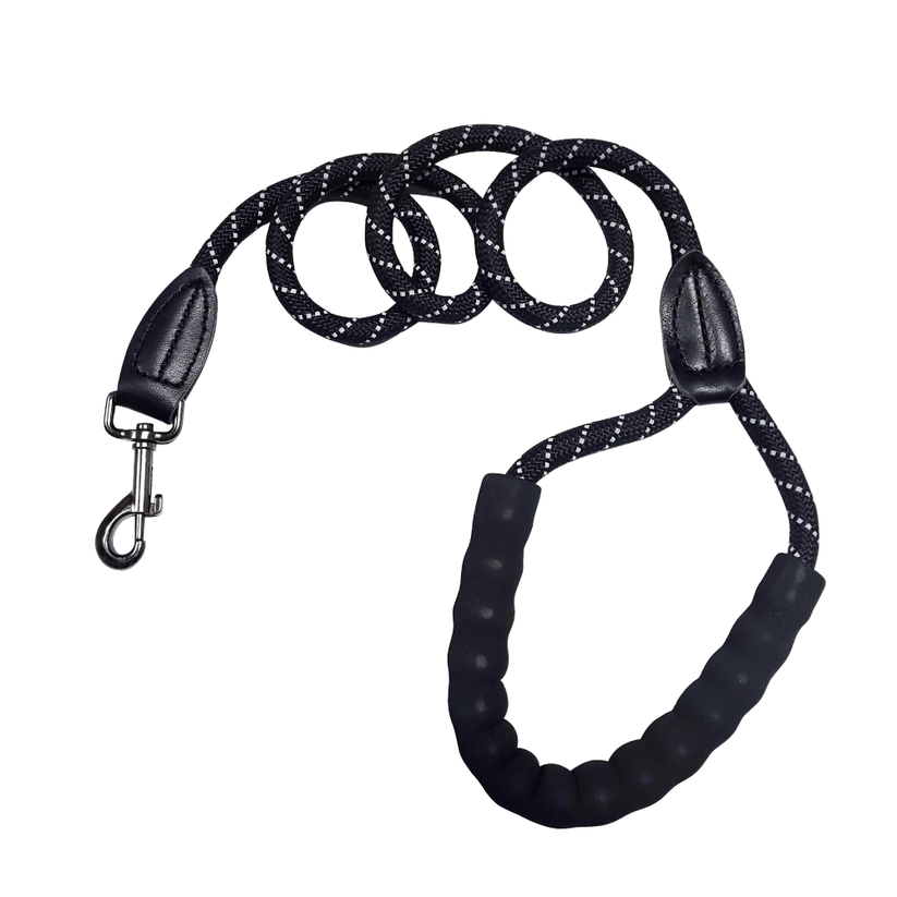 Dual Dog Leash Joyride Harness