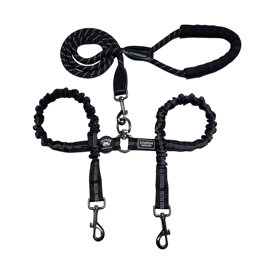 Dual Double Dog Leash