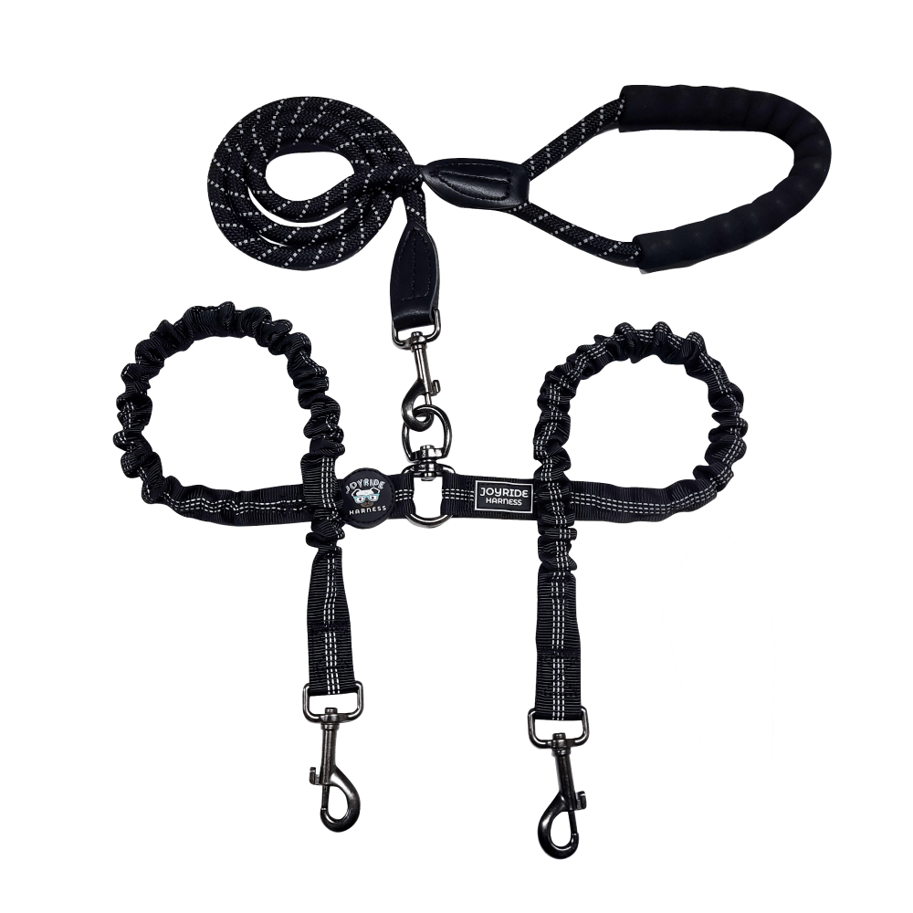 Dual Double Dog Leash