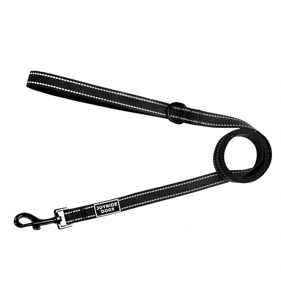 Everyday Comfort Dog Leash