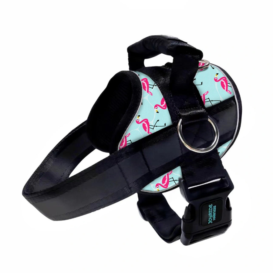 Flamingo Nights Limited Edition Joyride Premium Advanced Dog Harness 2.0