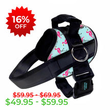 Flamingo Nights Limited Edition Joyride Premium Advanced Dog Harness 2.0