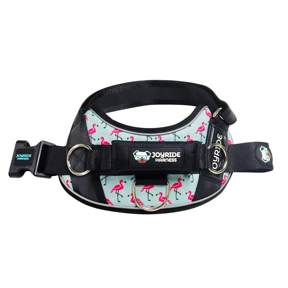 Flamingo Nights Limited Edition Joyride Premium Advanced Dog Harness 2.0
