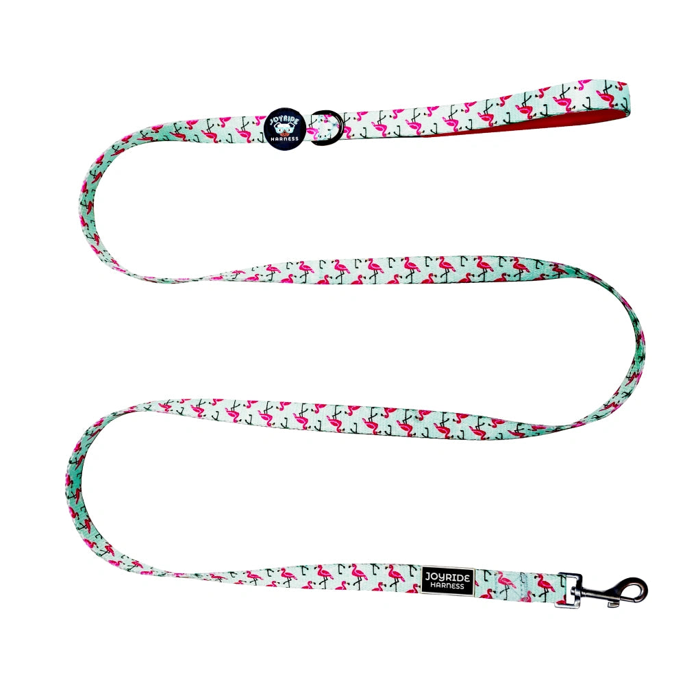Flamingo Nights Limited Edition Matching Dog Leash