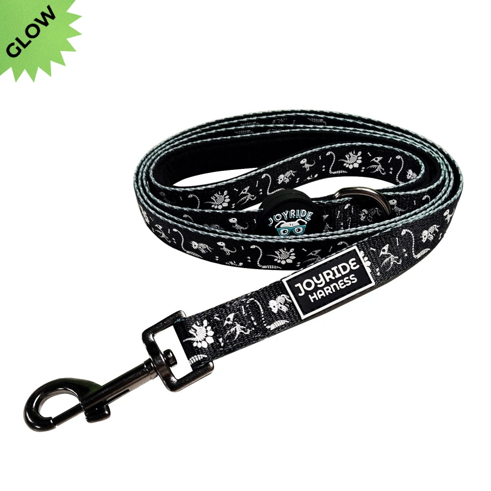 Fossil Frenzy Limited Edition Matching Dog Leash