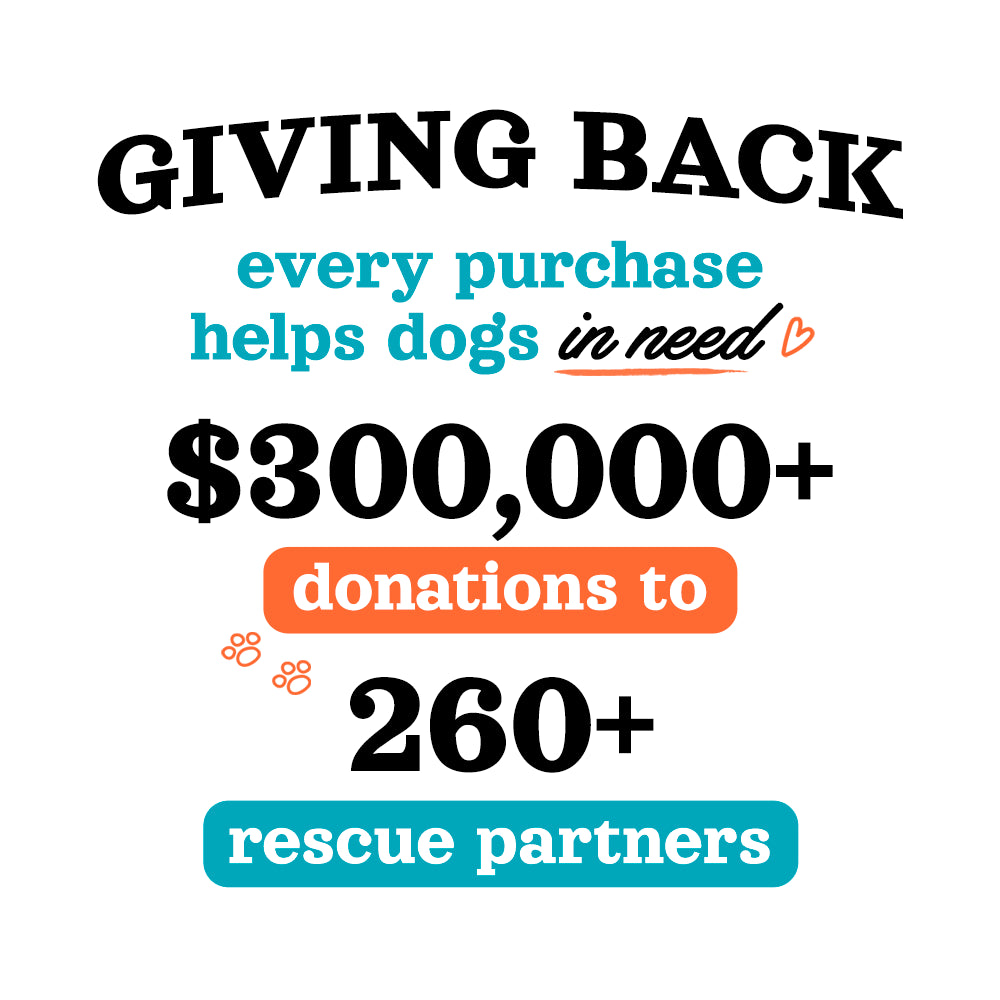 Fall Plaid Joyride Premium Advanced Dog Harness 2.0