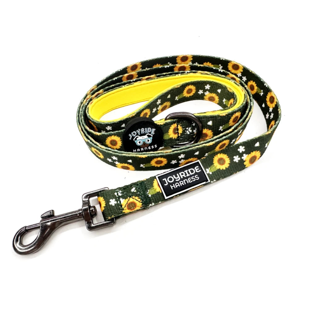 Golden Sunflower Limited Edition Joyride Premium Advanced Dog Harness 2.0 | Bundle
