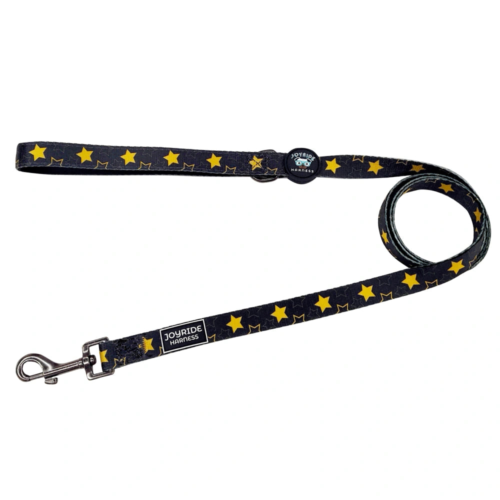 Golden Starshine Limited Edition Matching Dog Leash