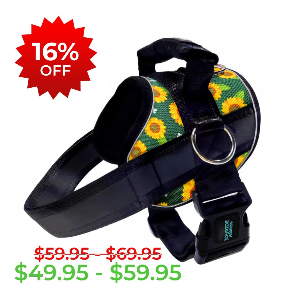 Golden Sunflower Limited Edition Joyride Premium Advanced Dog Harness 2.0 | Bundle