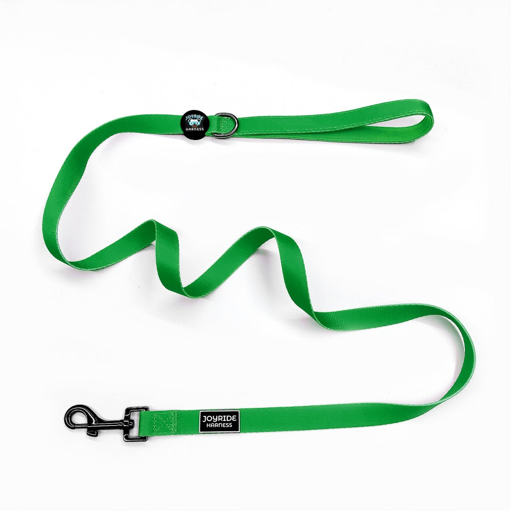 Grass Green Matching Dog Leash