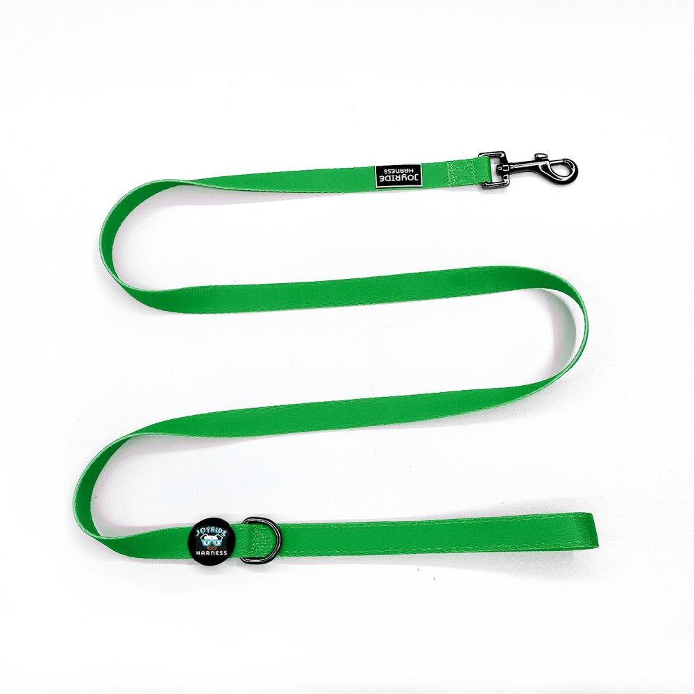 Grass Green Matching Dog Leash