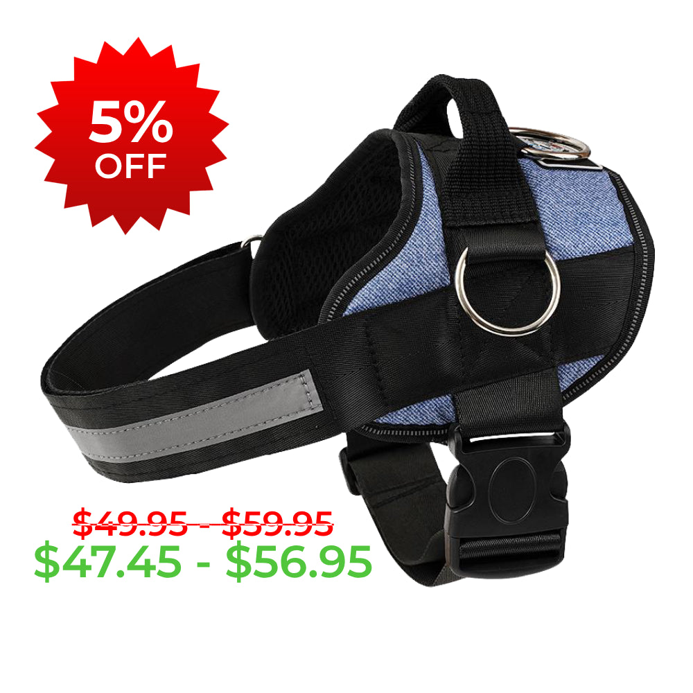 Denim Harness for Dogs