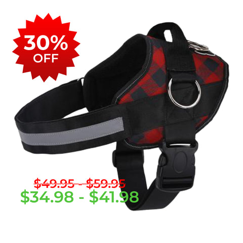 Red Plaid Joyride Basic Essential Dog Harness 1.0
