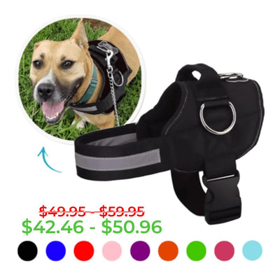 Joyride Dog Harness 2.0 (Solid Colors)