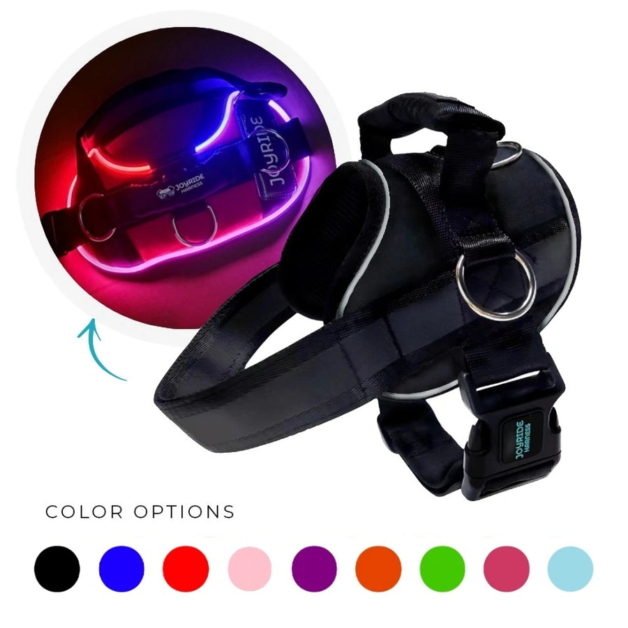 NEW! NightSafe LED Light Up Dog Harness 2.0