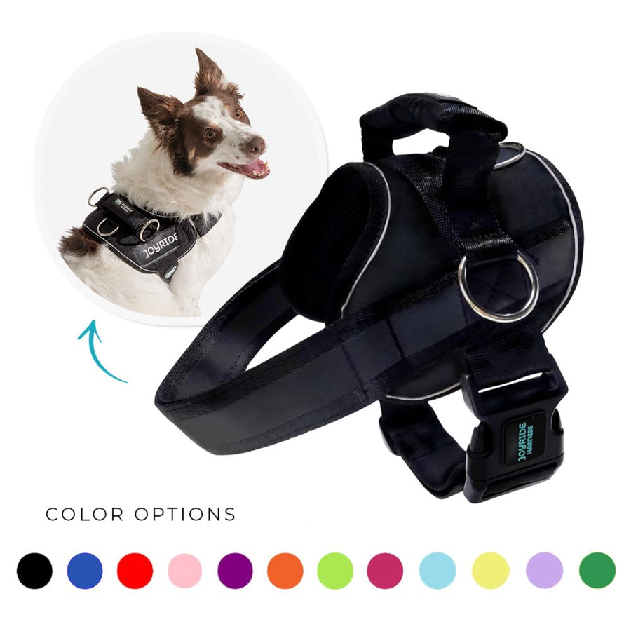 Black Joyride dog harness with color options