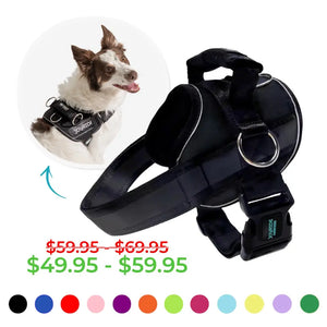Black Joyride dog harness with color options and sale pricing displayed