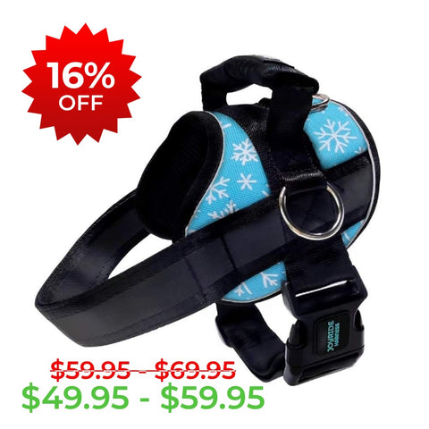 Blue Snowflake Joyride Premium Advanced Dog Harness 2.0