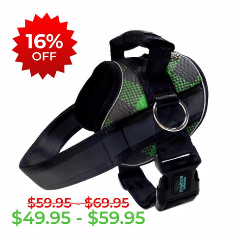 Green Plaid Joyride Premium Advanced Dog Harness 2.0