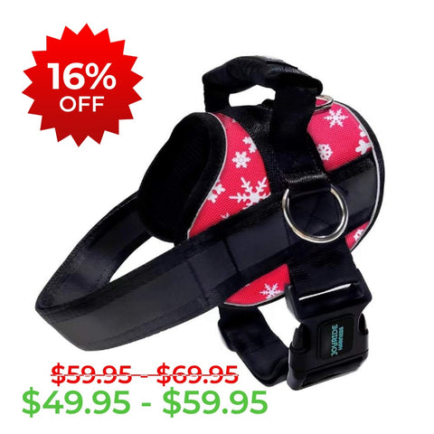 Red Snowflake Joyride Premium Advanced Dog Harness 2.0