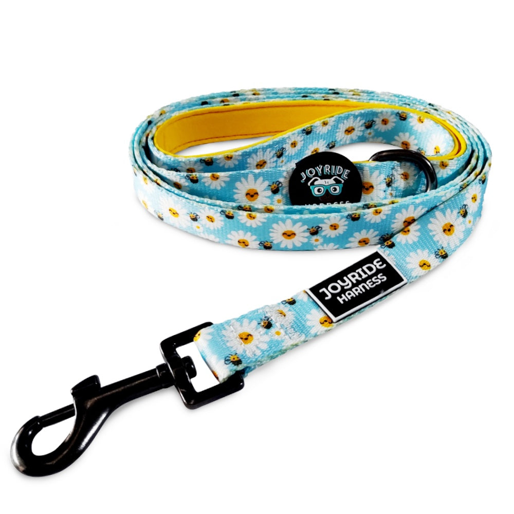 Blossoming Bees Matching Dog Leash