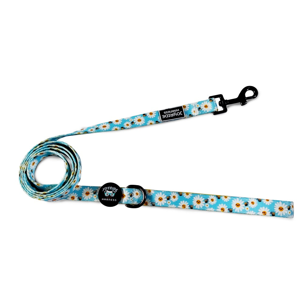 Blossoming Bees Matching Dog Leash