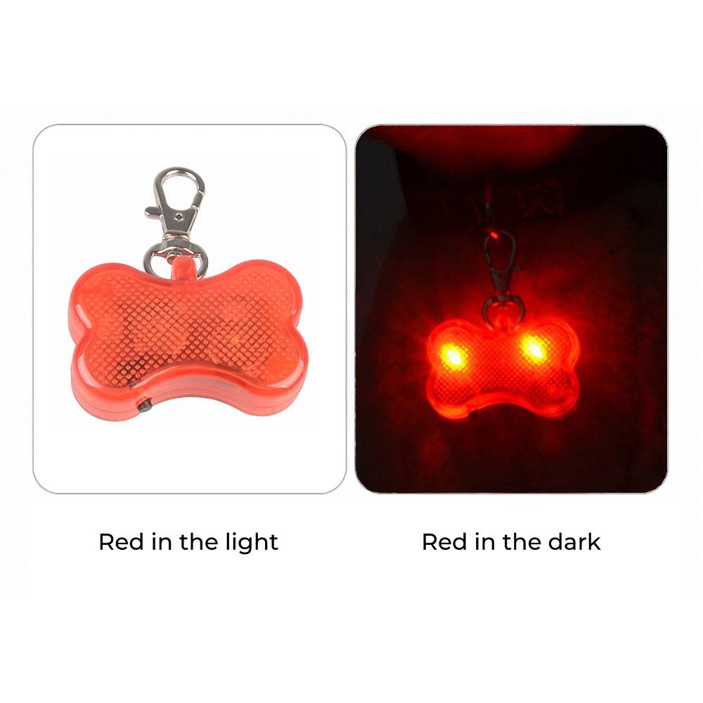 Free Today Only! - LED Light