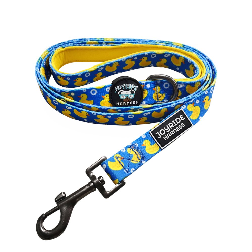 Ducky Delight Matching Dog Leash