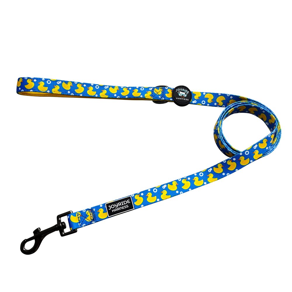 Ducky Delight Matching Dog Leash