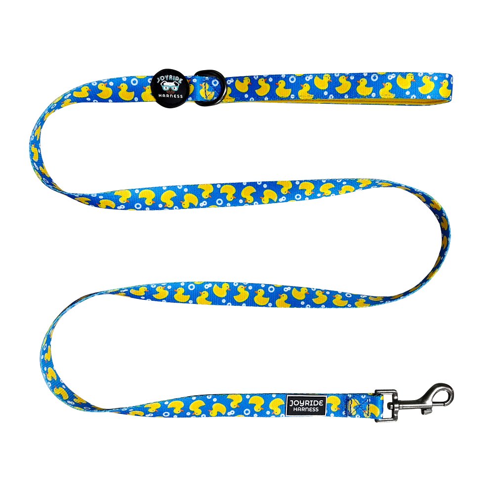 Ducky Delight Matching Dog Leash