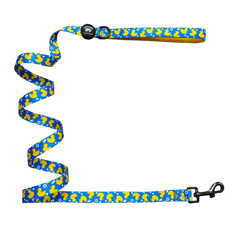 Ducky Delight Matching Dog Leash