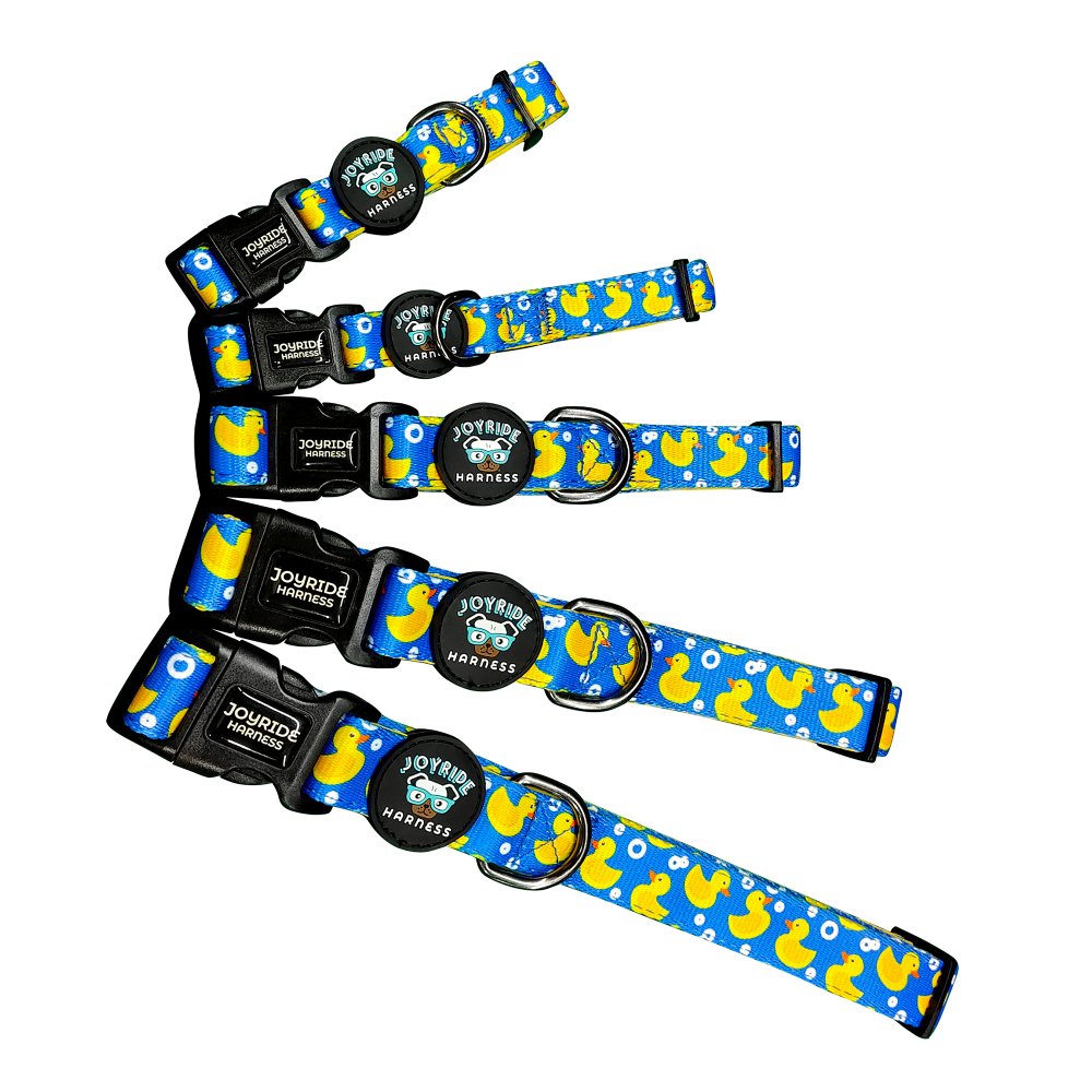 Ducky Delight Collar ( + free removable bowtie )