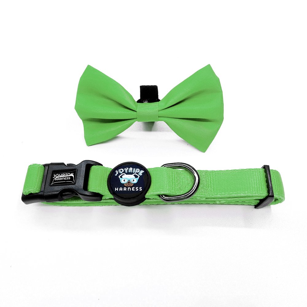 Grass Green Collar ( + free removable bowtie )