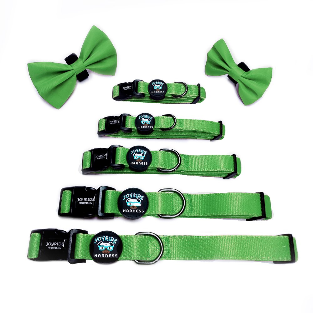 Grass Green Collar ( + free removable bowtie )